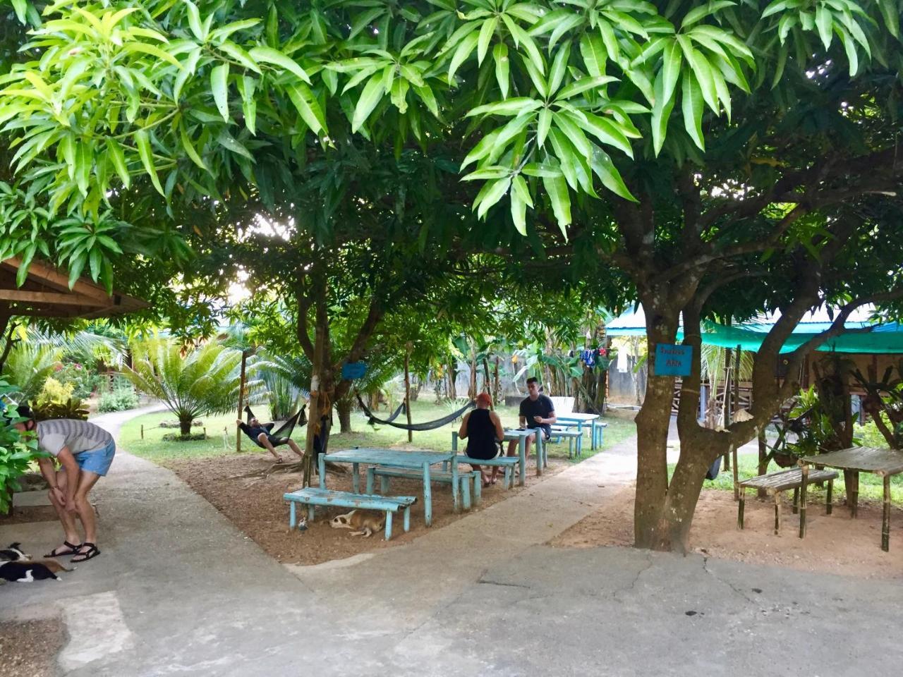 Fat Monkey Hostel Корон Екстериор снимка